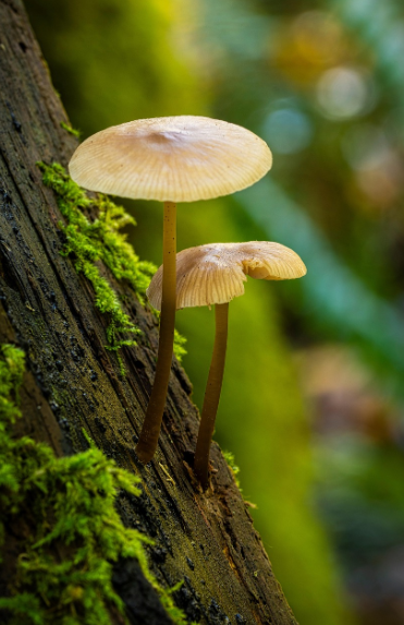 Ambiente costruito e transizione sostenibile